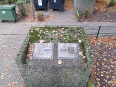 Müllboxenreinigung - vorher